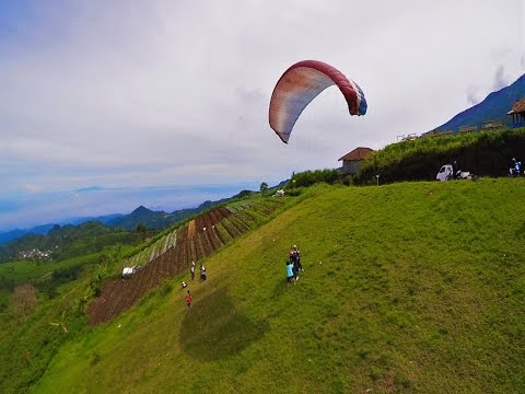 puncak-lawang-salah-satu-destinasi-wisata-keluarga-penuh-petualangan-ditemani-pesona-danau-maninjau